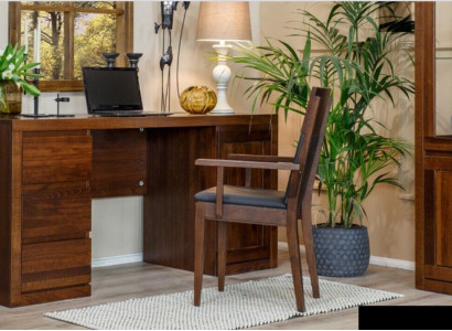 Office set suite furnishing table + chair solid wood furniture oak solid wood